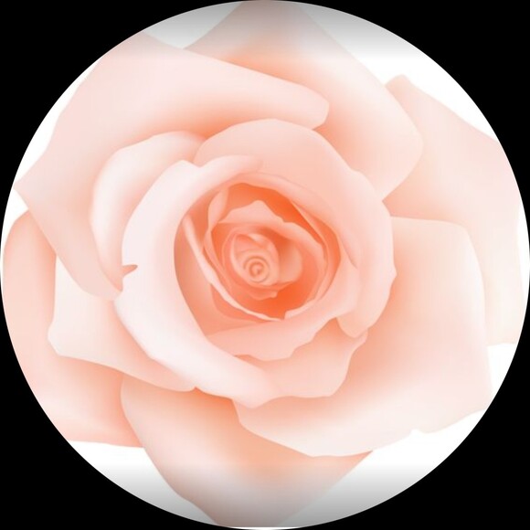61autumnrose